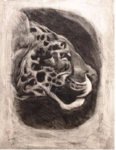 Leopardenkopf (Lithografie)